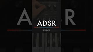 Phase 2 - Decay | Understanding ADSR #music #producer #sounddesign