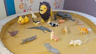 The Ultimate Sandbox Adventure with Farm animals and Jungle animals!