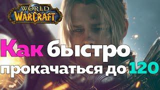 ГАЙД ДЛЯ НОВИЧКОВ - Как быстро прокачаться? [World of Warcraft]