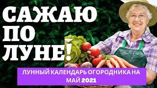 ЛУННЫЙ КАЛЕНДАРЬ ОГОРОДНИКА и САДОВОДА НА МАЙ 2021. Что и когда сажать по Луне?