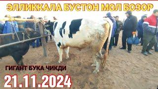 21 ноября 2024 ЭЛЛИККАЛА БУСТОН МОЛ БОЗОР НАРХЛАР УЗГАРДИ