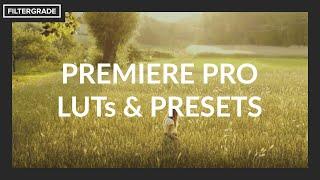 8 Best Premiere Pro LUTs and Preset Packs