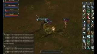 PVP L2 ZERG