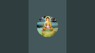 Ko Gyi Aung is live!