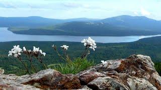 Зухра Сахабиева "Саубуллашу"