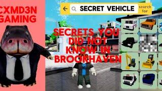 Secrets In Brookhaven you did not know! Roblox Brookhaven