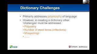 Dictionary-building process for use in text analytics projects.