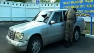 көк тарландары