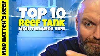 Top 10 Reef Tank Maintenance Tips