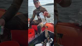 How to catch a salmon