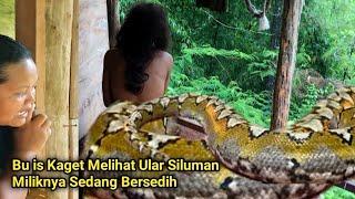 Viral Terbaru Gegerkan Warga.! Ular Siluman Milik Bu is Melihat Air Hujan Ternyata Sedang Bersedih