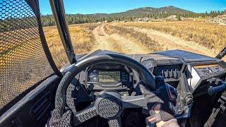 2024 Honda Talon 1000X-4 - POV Test Ride