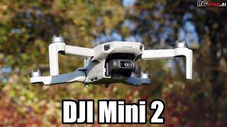 DJI Mini 2 video review (NL)