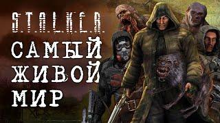 Как работает A-life в S.T.A.L.K.E.R. Тень Чернобыля и как создали симуляцию жизни в Cталкере ?