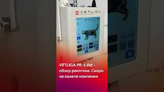 Ветеринарный рентген VETLIGA PR-5 Vet. Обзор - скоро на канале @vet_liga #short #shorts #tiktok