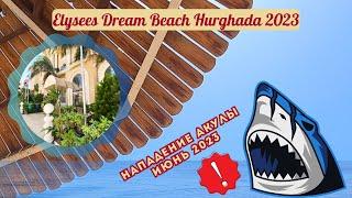 Elysees Dream Beach Hurghada. Shark attack June 8, 2023!!!