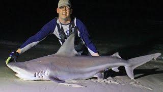 Shark fishing from beach in Panama City, Florida - Surf fishing for sharks