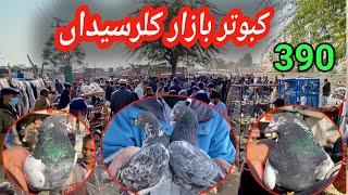 390 | Kabootar Mandi Kallar Syedan | Latest Update High Flying Pigeon Market Price 9/12/2024 !