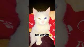 MISS YOU 