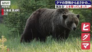 過去最大のヒグマと遭遇してニュースになりました。