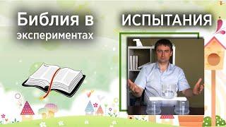 Эксперимент "Как справиться с испытаниями"|  Детская проповедь | Александр Антонов