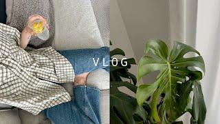 VLOG | Morning routine & new plants