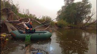 СТАВ БІЛЯ ПОВАЛЕНОГО ДЕРЕВА І ВІДРАЗУ УДОЧКА В ДУГУ. Рибалка на боковий кивок