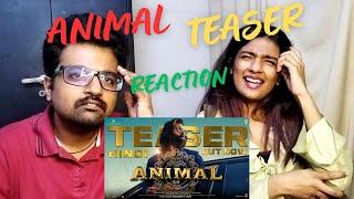 ANIMAL Teaser Reaction | The Timepass Reactions | Ranbir Kapoor | Rashmika Mandanna | Bobby Deol