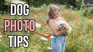 How to photograph your dog