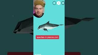 Artistic websites for when you're bored #shorts | tylietok