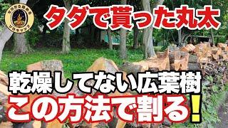 【薪割り】タダで貰った広葉樹の生木を割る方法