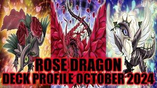 ROSE DRAGON DECK PROFILE (OCTOBER 2024) YUGIOH!