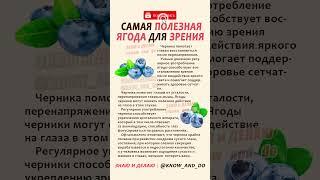  Самая полезная ягода для зрения 🫐 Полезные пп советы от Андрея Лопеса #знаюиделаю #здоровье