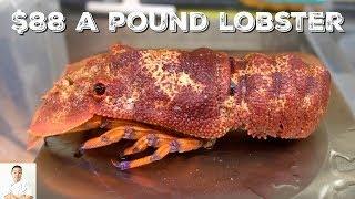 $88/Pound LIVE Slipper Lobster Sashimi: WORTH IT?