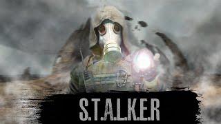 S.T.A.L.K.E.R. DayZ- RP. Generation Zone. Возвращения Тигра.