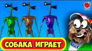 ЗЕЛЕНЫЙ СИРЕНОГОЛОВЫЙ и ЕГО БРАТЬЯ ПОЙМАЛИ МАКСА! СОБАКА ИГРАЕТ! (Green Siren Head) Валеришка Макс