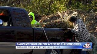 Mid-Missouri yard waste sites accepting Christmas trees