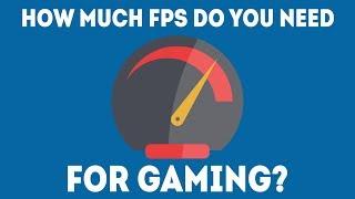 What Is the Best FPS for Gaming? [Simple Guide]