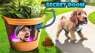 Crazy Reveals from Our Secret Room Adventures! | FV Family Top Videos