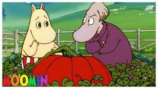 Moomin Nepali "Thulo farsi ( ठुलो फर्सी )"full Episode | Moomin Cartoon  In Nepali version