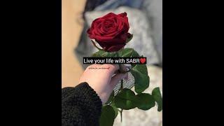 Live life with SABR #islamiclife #islamicstatus #world