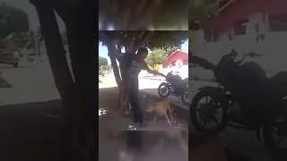 The Funny fails  #viral #shorts #funny #fails #taggyff