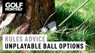 Rules Advice - Unplayable Ball Options