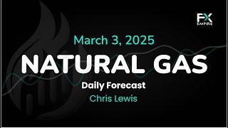 Natural Gas Price Forecast Today, Technical Analysis (March 03): NatGas Has a Volatile Open