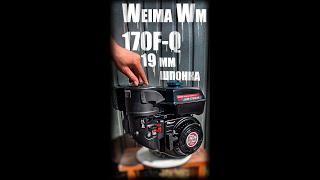 Weima WM170F-Q NEW двигун бензиновий (7 к.с., шпонка, 19 мм)