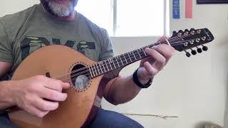 Nyberg Mandolin - EPB