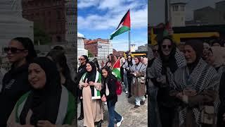 Pro-Palestine Protest in Malmo, Sweden, May 11, 2025