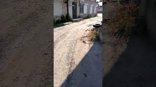 поссала такая за магазином и иду деловая. #мужскоеженское