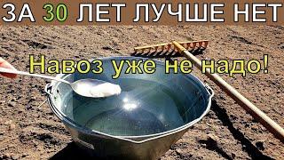 1 Ложку на ведро воды и земля как новая, пролейте землю этим