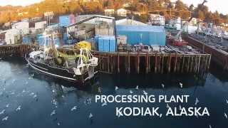 Global Seafoods | Watch  how Globalseafoods produce their seafood